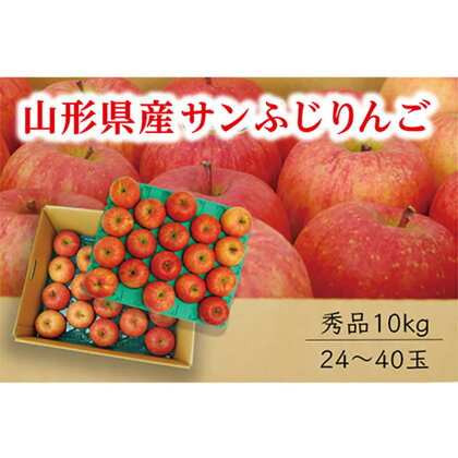 《先行予約 2024年度発送》【山形県産】サンふじりんご秀品10kg FSY-0410