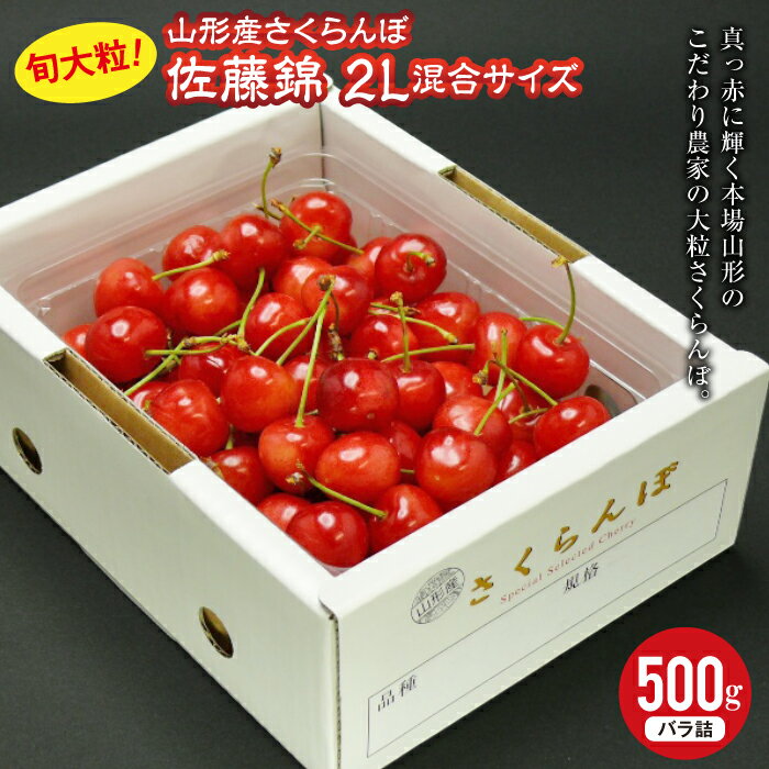 【ふるさと納税】《先行予約》旬大粒 山形産さくらんぼ 佐藤錦 2L混合サイズ 500g バラ詰 FSY-0418