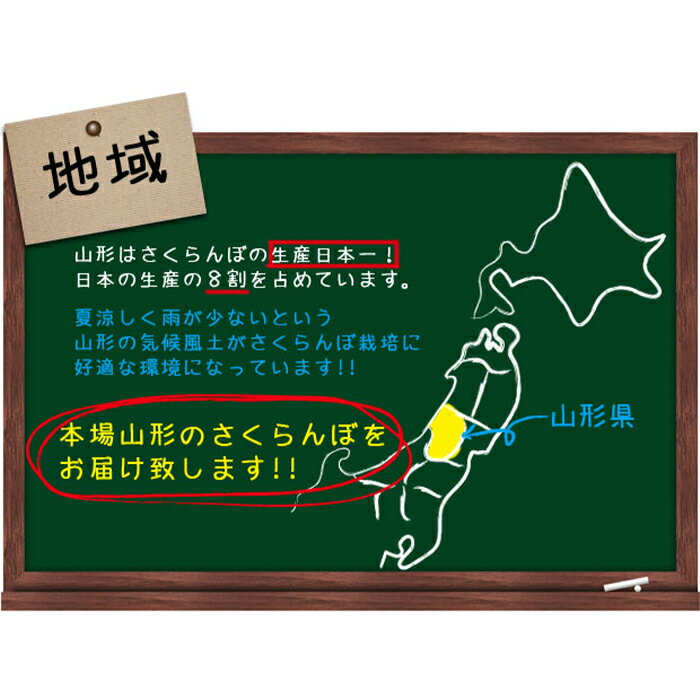 【ふるさと納税】《先行予約 2024年度発送》無加温♪山形さくらんぼ佐藤錦L300g手詰【5月中旬～6月上旬発送】 FSY-0419