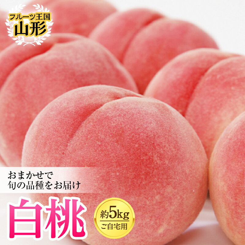 【ふるさと納税】フルーツ王国山形 白桃 約5kg ご自宅用 もも モモ 桃 デザート フルーツ 果物 くだもの 果実 食品 山形県 FSY-0425