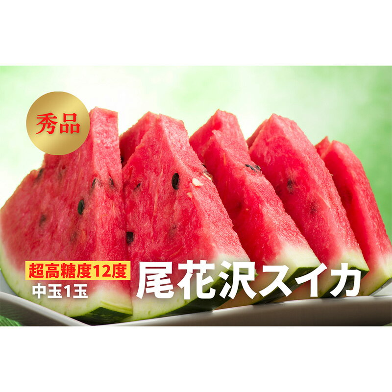 【ふるさと納税】《2025年先行予約》【超高糖度12度】尾花沢スイカ 秀品 中玉1玉 FSY-0447