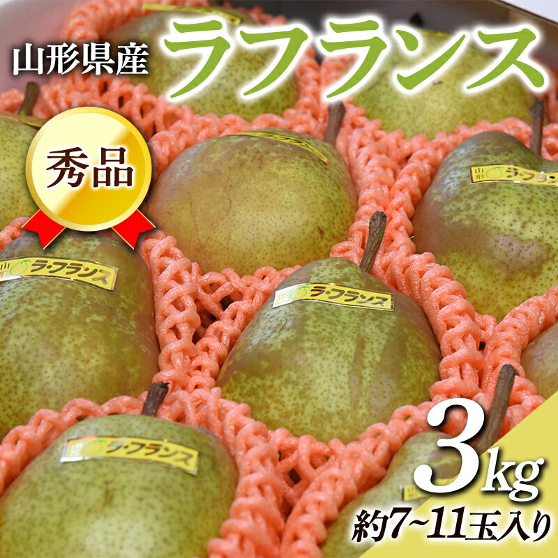 ラ・フランス 【ふるさと納税】≪令和6年度 先行予約≫ 山形県産 秀品 ラフランス 3kg FSY-0454