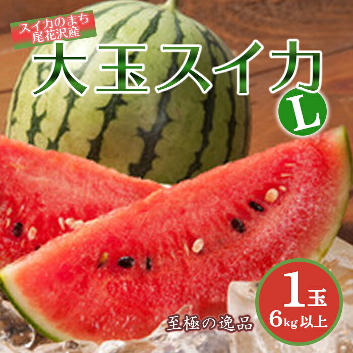 【ふるさと納税】《先行予約 2025年度発送》大玉スイカL以上(6kg以上)1玉 スイカ すいか 西瓜 デザート フルーツ 果物 くだもの 果実 食品 山形県 FSY-0502