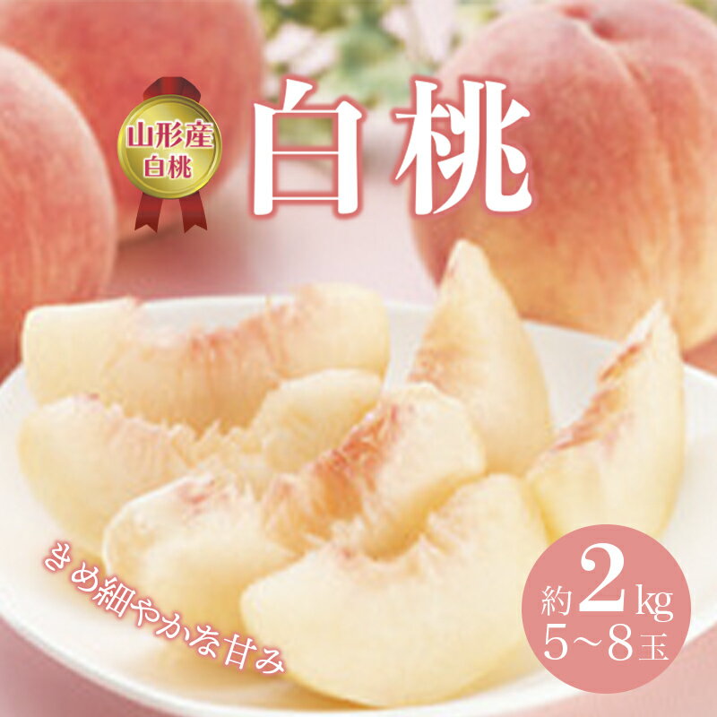 《先行予約 2024年度発送》白桃 約2kg(5~8玉) FSY-0508