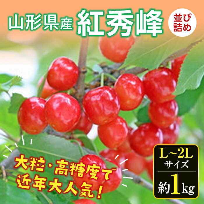 [先行予約 2024年度発送]さくらんぼ 紅秀峰(L〜2Lサイズ)並び詰め 約1kg