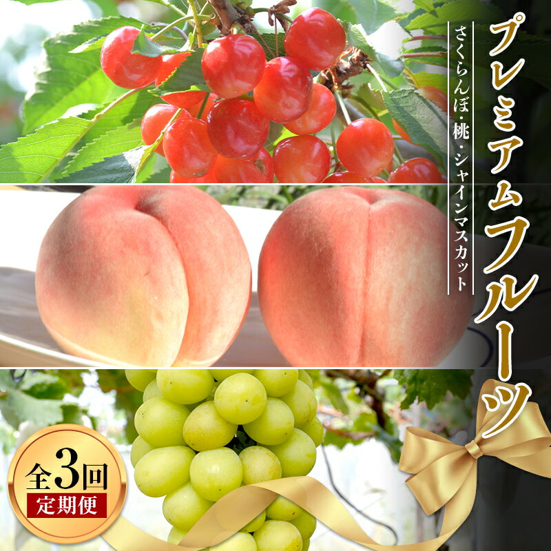 [先行予約 令和6年6月中旬発送開始 定期便]プレミアムフルーツ(さくらんぼ 桃 シャインマスカット)