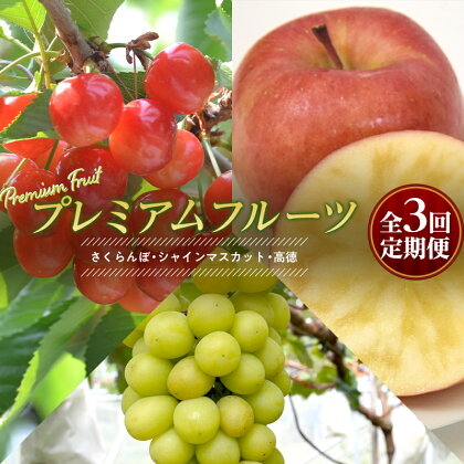 《先行予約 令和6年6月中旬発送開始 定期便》プレミアムフルーツ （さくらんぼ シャインマスカット 高徳りんご） FSY-0581