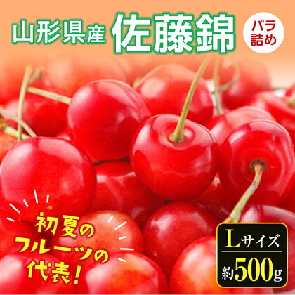 《先行予約 2024年度発送》さくらんぼ 佐藤錦（Lサイズ）バラ詰め 約500g FSY-0531