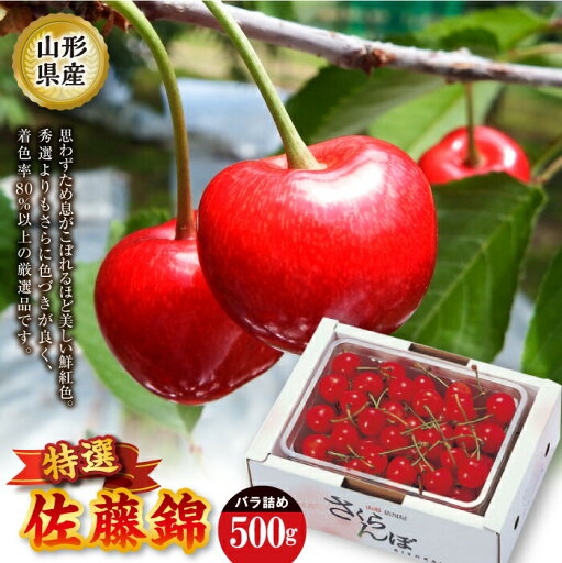 【ふるさと納税】 《先行予約 2025年度発送》佐藤錦 特選バラ詰め【500g】 FSY-2207 【ふるさと納税】 《先行予約 2025年度発送》佐藤錦 特選バラ詰め【500g】 FSY-2207