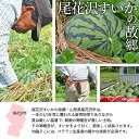 【ふるさと納税】《先行予約 令和6年7月中旬発送》山形県産 尾花沢すいか 秀品 2玉 (約6.8kg前後×2) FSY-0756 3