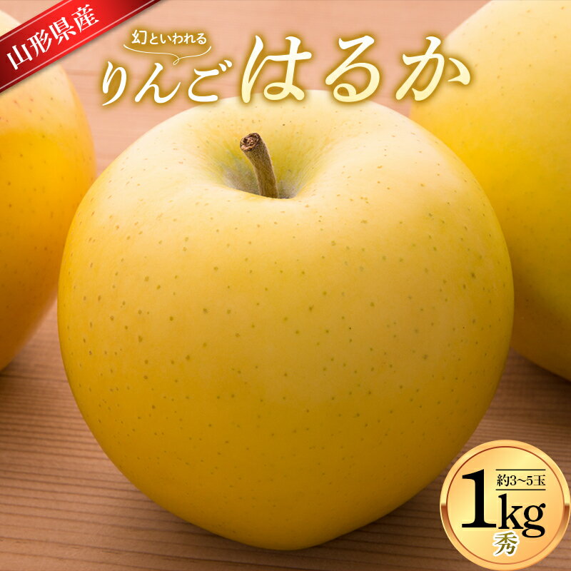 りんご はるか 1kg (約3～5玉入り) 山形県産 ギフト箱入り 蜜入り 《先行予約 2024年12月中旬から発送開始》 FSY-0616