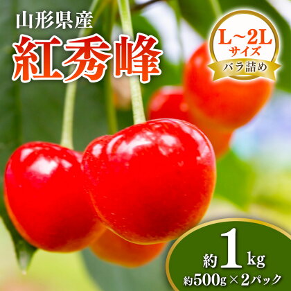 【先行予約 令和6年度発送】山形県産 さくらんぼ 紅秀峰 約1kg（500g×2パック） L～2Lサイズ FSY-0676