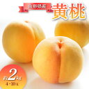  山形県産 黄桃 約2kg FSY-0685