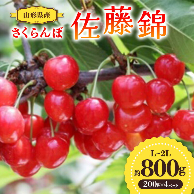 11位! 口コミ数「0件」評価「0」【先行予約 令和6年度発送】山形県産 さくらんぼ 佐藤錦 約800g（200g×4パック） L～2Lサイズ FSY-0691