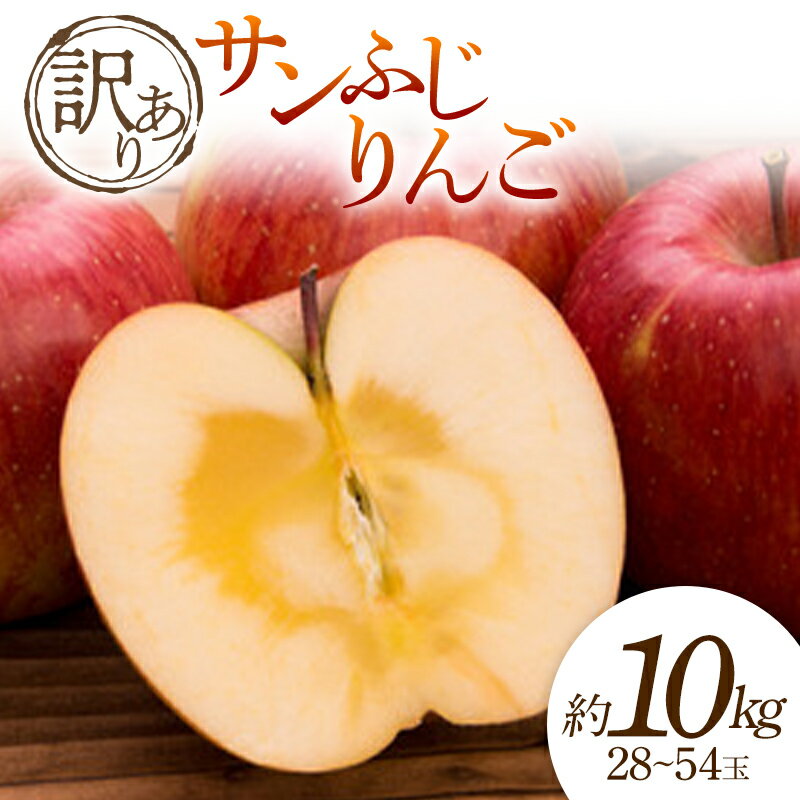 【ふるさと納税】【2025年発送 先行予約】訳あり サンふじりんご 約10kg 28〜54玉 りんご リンゴ 林檎 デザート フルーツ 果物 くだもの 果実 食...