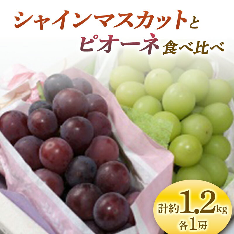 【ふるさと納税】《先行予約 2025年度発送》 シャインマスカットとピオーネ食べ比べ 約1.2kg マスカット ぶどう ブドウ 葡萄 デザート フルーツ 果物 くだもの 果実 食品 山形県 FSY-0708