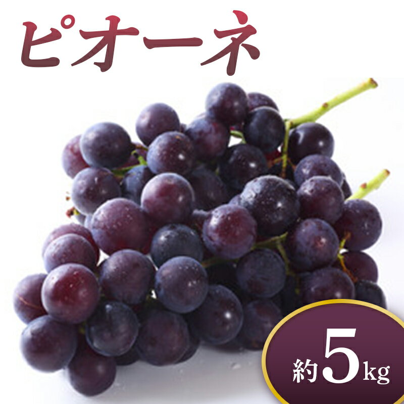 【ふるさと納税】《先行予約 2025年度発送》 ピオーネ 約5kg ぶどう ブドウ 葡萄 デザート フルーツ 果物 くだもの 果実 食品 山形県 FSY-0710