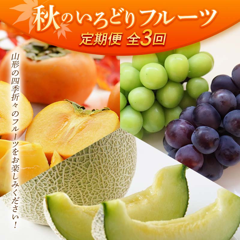 【ふるさと納税】【先行予約 令和6年度発送】【定期便3回】 秋のいろどりフルーツ FSY-0731