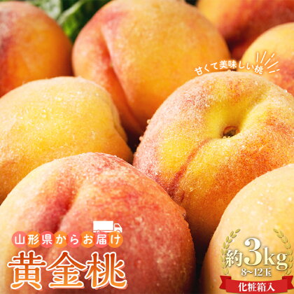 【先行予約 2024年度発送】山形県産 黄金桃 約3kg 8～12玉 FSY-0741