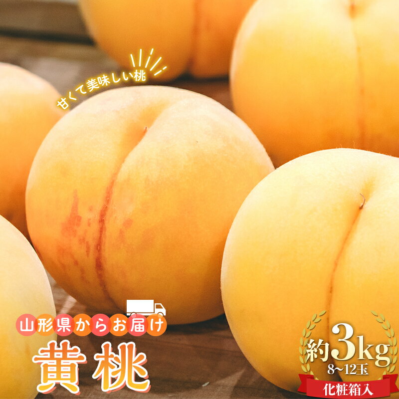 【ふるさと納税】【先行予約 2024年度発送】山形県産 黄桃 約3kg 8～12玉 化粧箱入 FSY-0742