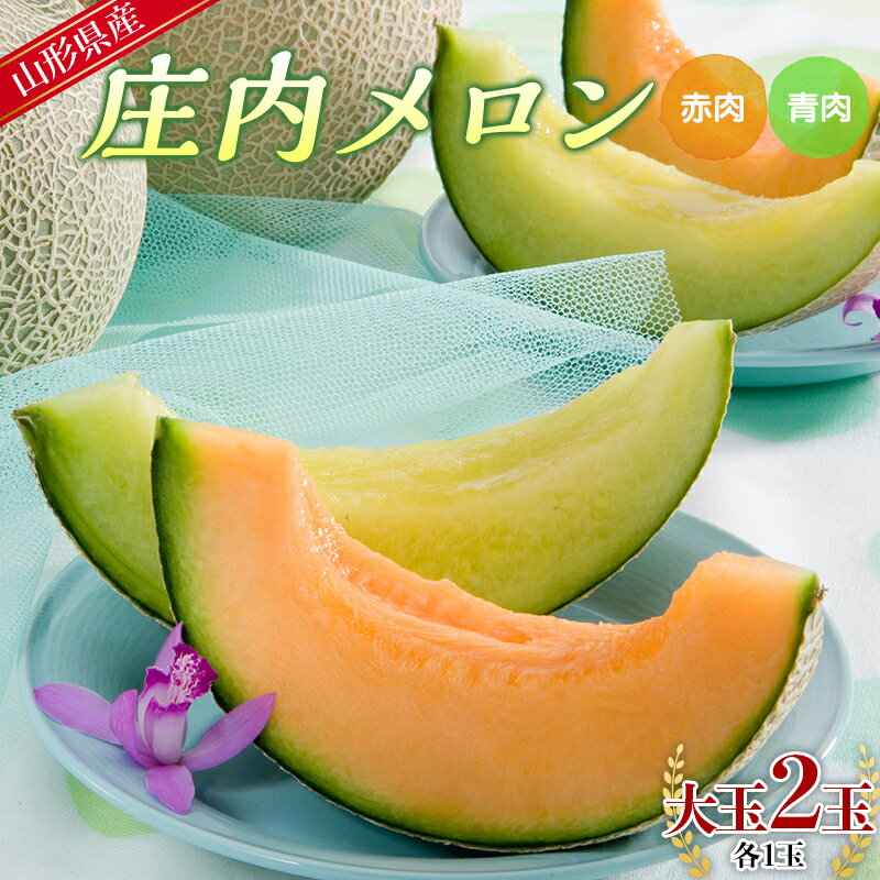 【ふるさと納税】 【先行予約 2025年度発送】山形県産 庄内メロン (青肉&赤肉 MIX)大玉2玉入(各1玉) FSY-0744