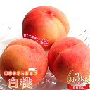 【ふるさと納税】【先行予約 2025年度発送】山形県産 白桃 約3kg 8~12玉 化粧箱入 もも モモ 桃 デザート フルーツ 果物 くだもの 果実 食品 山形県 FSY-0746