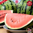【ふるさと納税】 【先行予約 2025年度発送】山形県産 尾花沢スイカ A品 2L 2玉 約14kg FSY-0748(4)