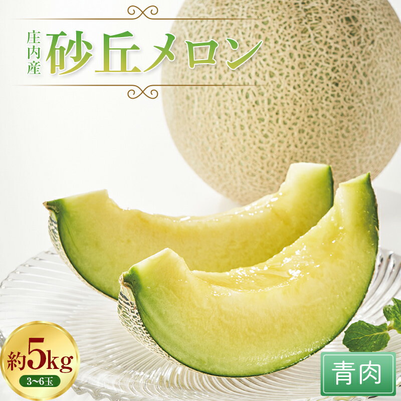 庄内産砂丘メロン(青肉)約5kg