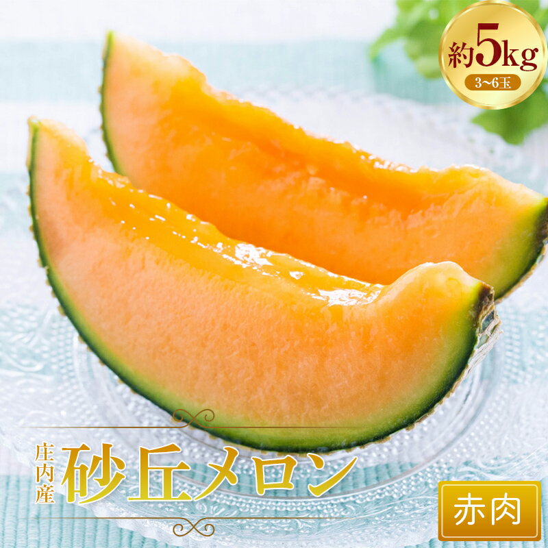 庄内産砂丘メロン(赤肉)約5kg