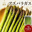 【ふるさと納税】《先行予約 2025年度発送》山形の極旨 アスパラガス 約2kg(Lサイズ) アスパラ 野菜 食品 山形県 FSY-0801