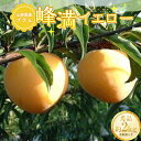 【ふるさと納税】《2025年先行予約》山形県産 プラム 峰満イエロー 約2kg (8玉〜13玉) 秀品 化粧箱入り フルーツ 果物 くだもの 果実 食品 山形県...