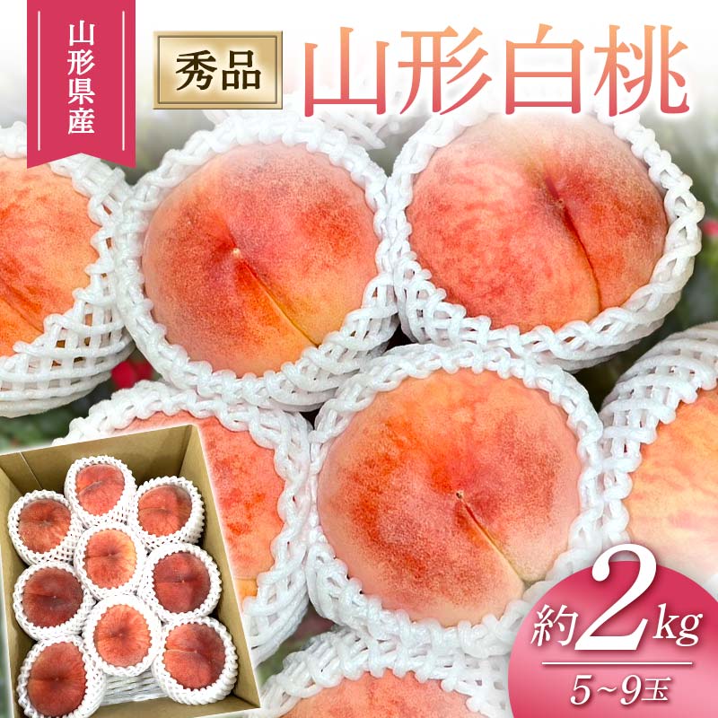 ≪2024年度先行予約≫ 山形白桃 2kg 5玉〜9玉