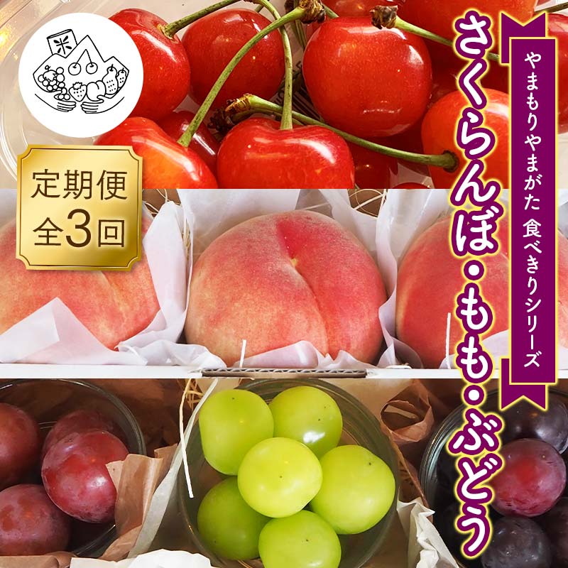 【ふるさと納税】【先行予約 2025年度発送】《食べきりシリーズ》~さくらんぼ・もも・ぶどう~ FSY-1030