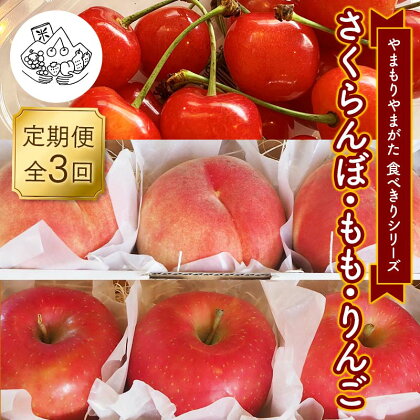 【先行予約 2024年度発送】《食べきりシリーズ》～さくらんぼ・もも・りんご～ FSY-1031