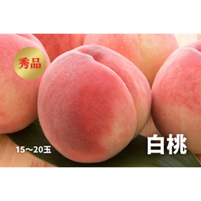 【ふるさと納税】《先行予約 2025年度発送》白桃 秀品 15〜20玉 もも モモ 桃 デザート フルーツ 果物 くだもの 果実 食品 山形県 FSY-1035