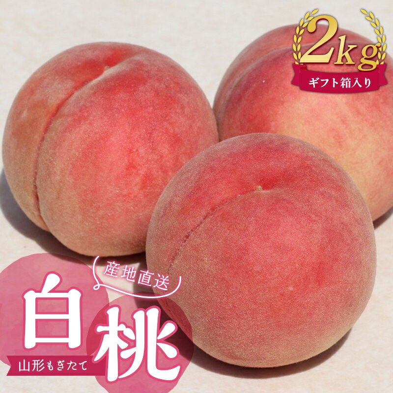 【ふるさと納税】【先行受付 令和7年度発送】山形もぎたて白桃2kg ギフト箱入り もも モモ 桃 デザート フルーツ 果物 くだもの 果実 食品 山形県 FSY-1036