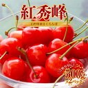 【ふるさと納税】 紅秀峰 さくらんぼ 2L 500g×2パック入 【2025年6月上旬から発送】 FSY-1048