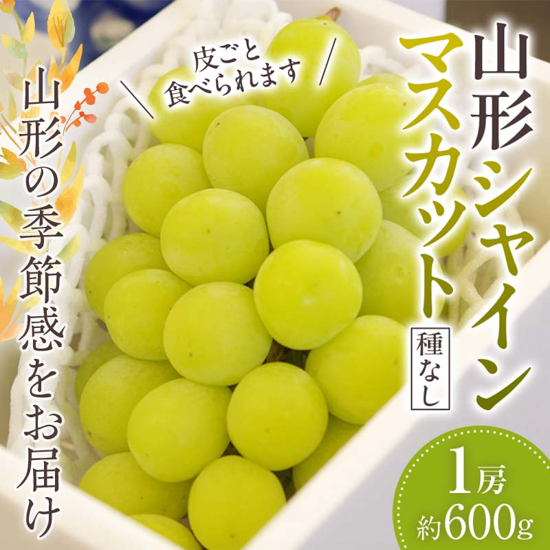 山形シャインマスカット ぶどう 1房 [種なし皮ごと食べられます][2024年9月から発送]