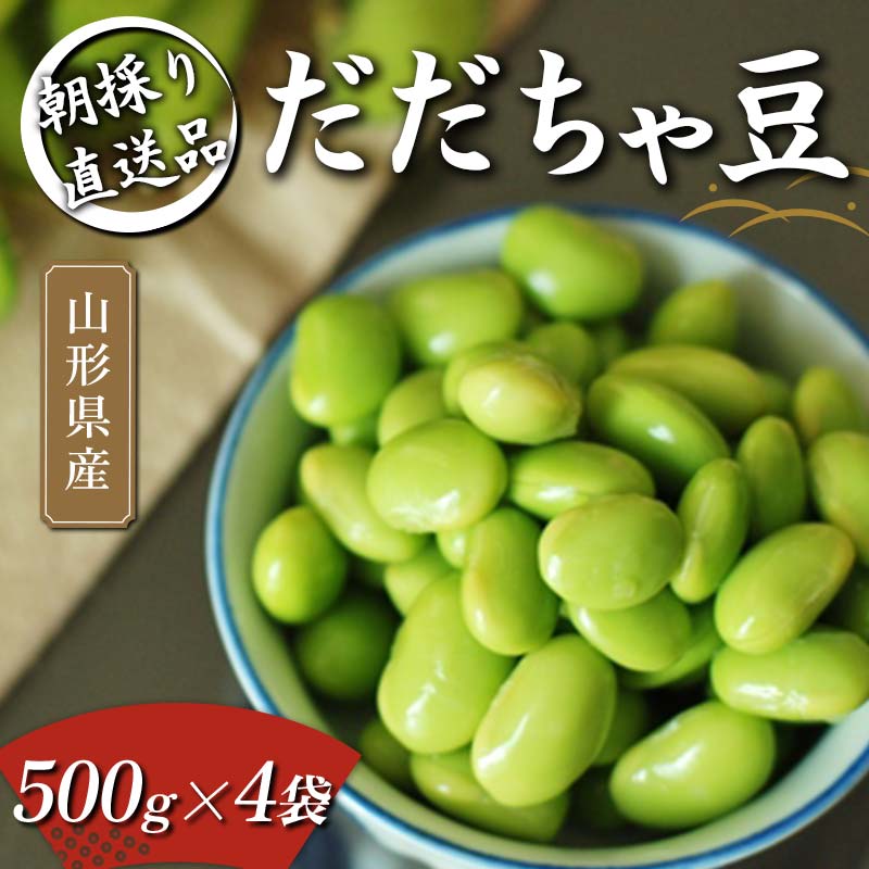 yӂ邳Ɣ[Łz ̂蒼i ᓤ 500g~4 2kg R`̎}y2024N8甭z FSY-1057