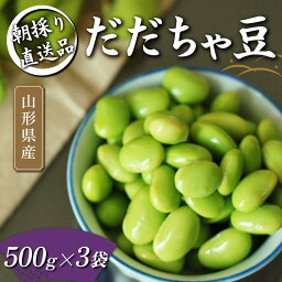 【ふるさと納税】 朝採り直送品 だだちゃ豆 500g×3袋 1.5kg分 山形県の枝豆【2024年8月から発送】 FSY-1058