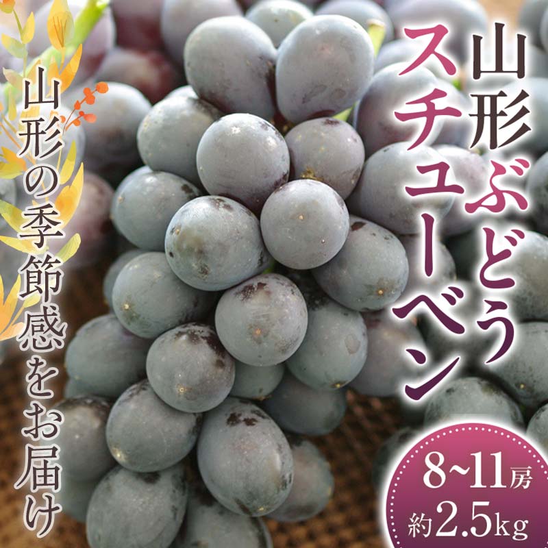 ・ふるさと納税よくある質問はこちら ・寄附申込みのキャンセル、返礼品の変更・返品はできません。あらかじめご了承ください。　　 ◆魅力◆ 長い間愛されている葡萄で糖度も高く酸味の少ない誰にでも愛される味。 ◆アメリカ生まれの葡萄◆ ウエイン×シェリダンの交配品種で、アメリカで誕生し、経緯が似ている東北地域で主に栽培されています。 種がありますが、その確かな糖度と味で長年愛されてきた葡萄の一つです。 山形のぶどうは主に棚仕立て栽培で育てられ太陽の光をたくさん浴びてより甘くなります。 主産地は山形県の村山地域・置賜地域が多いですが、県内全域で栽培されています。 ◆葡萄に付いている白い粉の秘密◆ この白い粉はブルーム(果粉)と言います。 ぶどう自体の糖分やミネラルが結晶化して出来るもので、品質には何も問題はありません。 ◆おすすめの食べ方 生食で食べるのがお勧めです。 ◆おすすめの用途 御中元等のご贈答用品にも。ご家族・ご友人と。 ◆保存方法 冷蔵で保管してください。 ※画像はイメージです。 【株式会社　浜中屋】 創業約60年「浜中屋」山形県鶴岡市の果物専門店。 数ある農家さん・地域を厳選した規格・等級で、山形の季節感をお届けします。 商品説明 スチューベン ぶどう 約8～約11房 約2.5kg【2024年8月から発送】 内容量：スチューベンぶどう約2.5kg ※粒数・サイズ指定はできません※ 産地：山形県 賞味期限：到着してから5日 ※農産物により期限は目安となります。なるべく早くお召し上がりください。 保存方法：冷蔵 配送方法：冷蔵 発送期日：2024年8月中旬頃～10月中旬頃まで 配達指定日はお受けできません。 長期不在により荷物が受け取れなかった場合、返礼品の再送はできません。 収穫状況・天候等により配送時期が前後する場合もあります。 事業者：株式会社　浜中屋 「ふるさと納税」寄附金は、下記の事業を推進する資金として活用してまいります。 寄附を希望される皆さまの想いでお選びください。 1. 次代を担い地域を支える人材の育成・確保 2. 競争力のある力強い農林水産業の振興・活性化 3. 高い付加価値を創出する産業経済の振興・活性化 4. 県民が安全・安心を実感し、総活躍できる社会づくり 5. 未来に向けた発展基盤となる県土の整備・活用 6. 自治体におまかせ 申請書を受領証明書と一緒にお送りしますので、必要情報を記載の上、返信用封筒に切手を貼付いただきご返送ください。 入金確認後、注文内容確認画面の【注文者情報】に記載の住所に45日以内に発送いたします。(年末年始を除く)