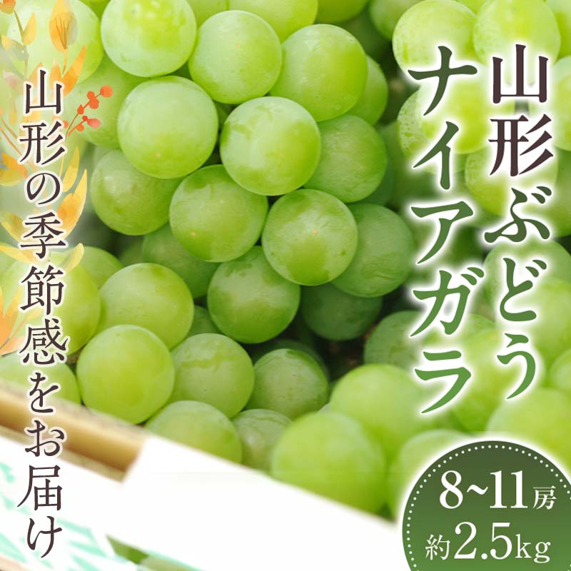 【ふるさと納税】 山形ナイアガラ ぶどう 約8房～約11房 約2.5kg【2024年8月から発送】 FSY-1063 1