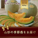 【ふるさと納税】山形県庄内産 メロン 3玉入〜5玉入 約5kg 赤肉 《品種の指定はできません》【2025年6月から発送】 赤肉メロン デザート フルーツ 果物...