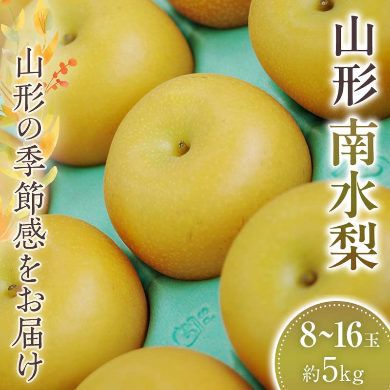 【ふるさと納税】 南水梨　約8玉～約16玉 約5kg 【20