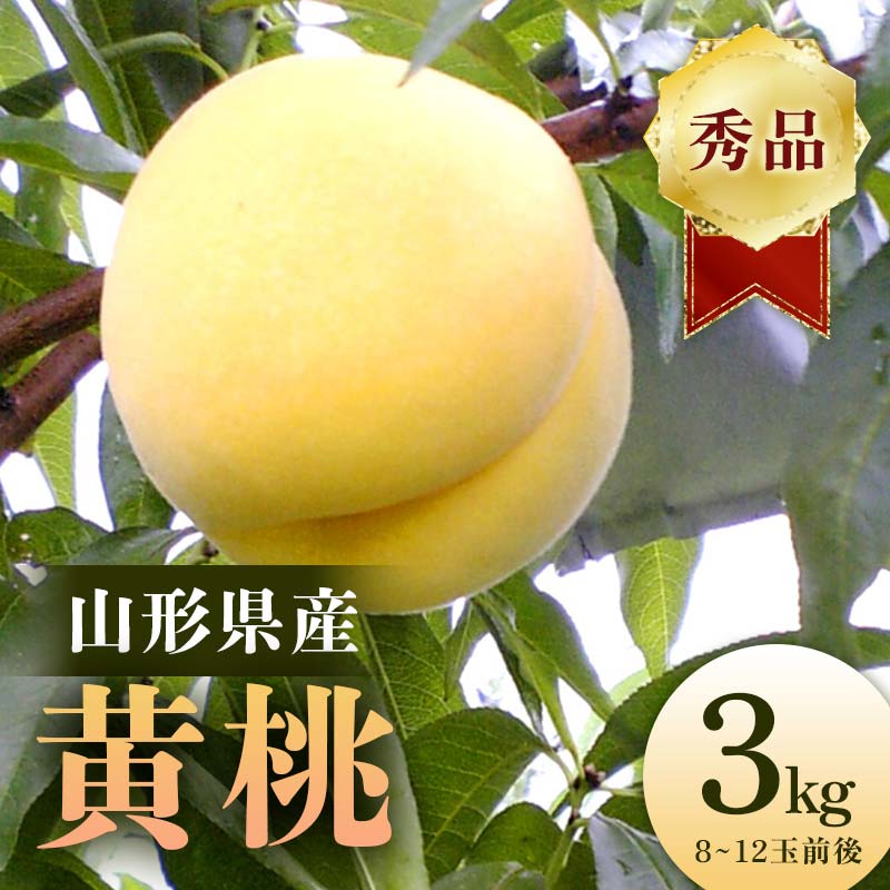 【ふるさと納税】【令和6年産 先行予約】山形県産 黄桃 秀品3kg 8～12玉前後 FSY-1090