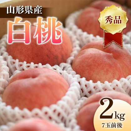 《2024年産 先行予約》山形県産 白桃 秀品 2kg（7玉前後） FSY-1243