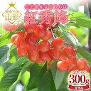 【ふるさと納税】 【令和7年産 先行予約】山形県産さくらんぼ 紅秀峰 特秀 3L玉 300g 鏡詰め 化粧箱入り FSY-1096