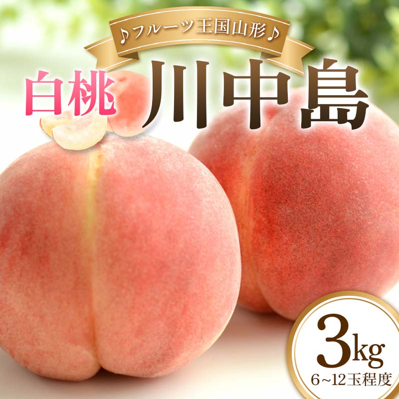 【ふるさと納税】【先行予約 2025年度発送】♪フルーツ王国山形♪白桃(川中島) もも モモ 桃 デザート フルーツ 果物 くだもの 果実 食品 山形県 FSY-1132