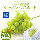 【ふるさと納税】【先行予約 2025年度発送】♪フルーツ王国山形♪シャインマスカット700g 10月発送 マスカット ぶどう ブドウ 葡萄 デザート フルーツ 果物 くだもの 果実 食品 山形県 FSY-1848(4)