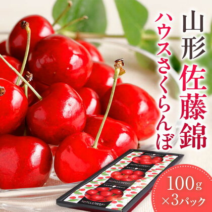 【ハウスさくらんぼ令和6年4月から発送開始】山形県 ハウスさくらんぼ佐藤錦100g×3パック入り FSY-1153